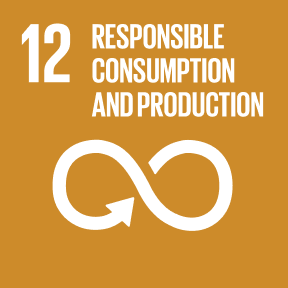 SDG 12