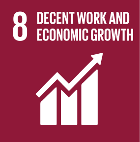 SDG 8