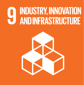 SDG 9